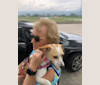 Jackie, a Chihuahua and Great Pyrenees mix tested with EmbarkVet.com