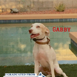 Gabriel (Gabby)