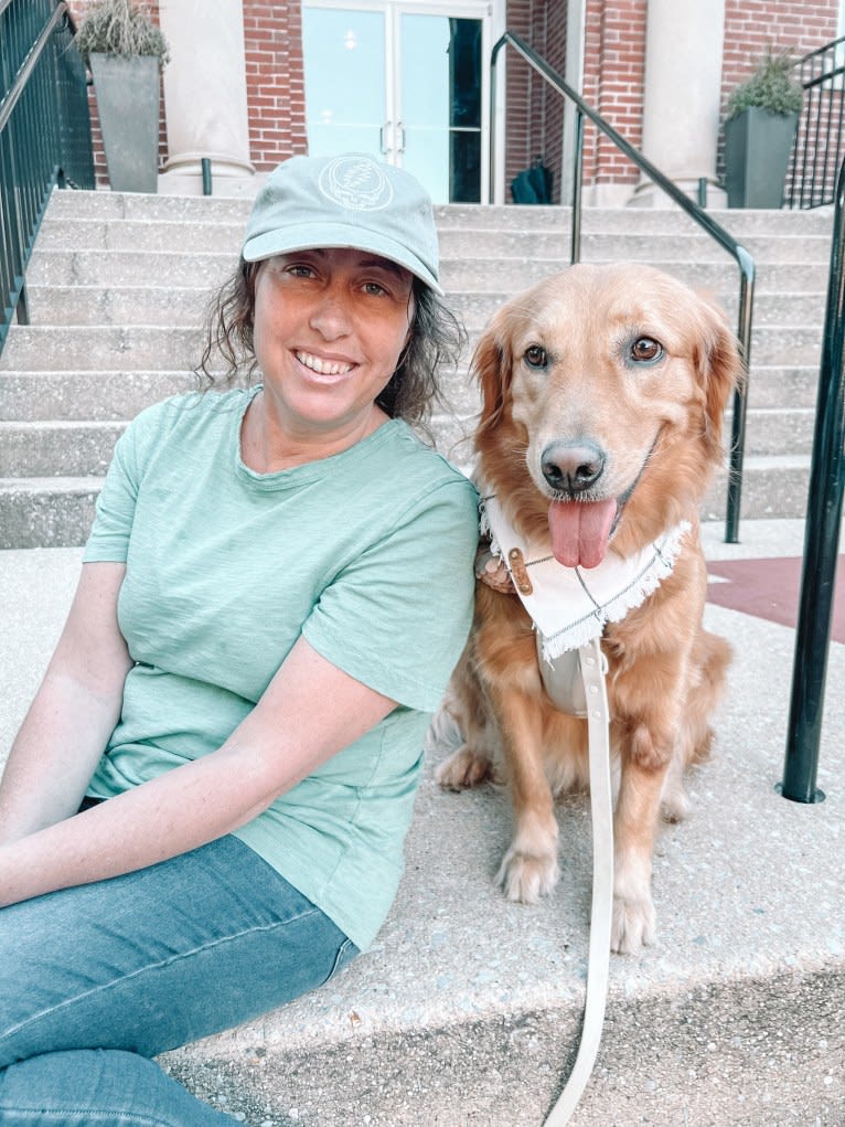 Marley, a Golden Retriever tested with EmbarkVet.com