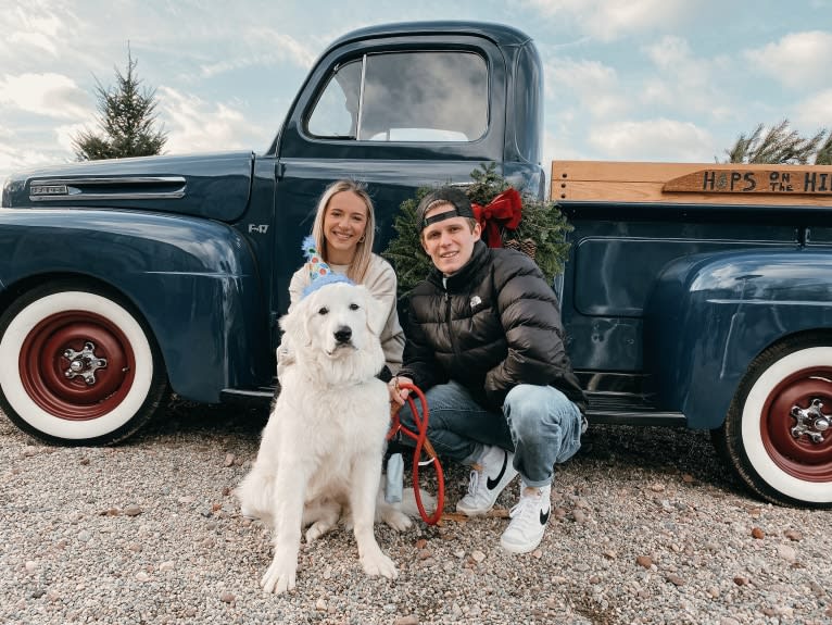 Finn, a Great Pyrenees and Beagle mix tested with EmbarkVet.com