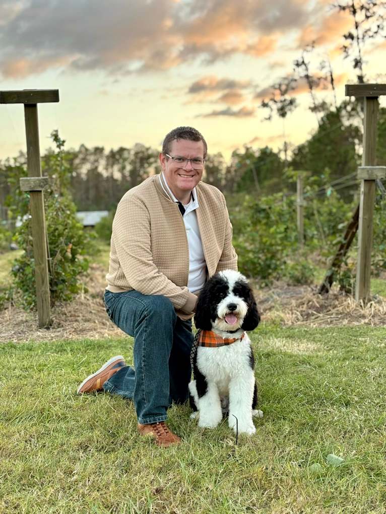 George, a Bernedoodle tested with EmbarkVet.com