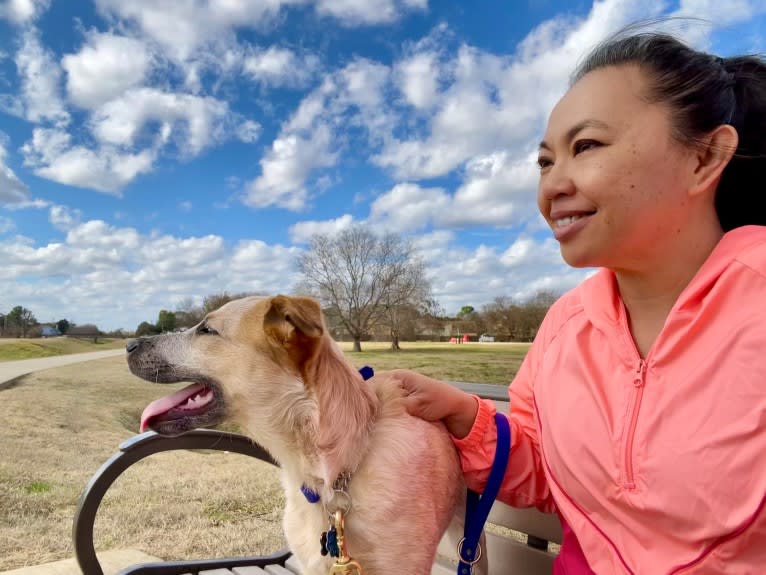 RAWLIE RIGGS, an Australian Cattle Dog and Poodle (Small) mix tested with EmbarkVet.com