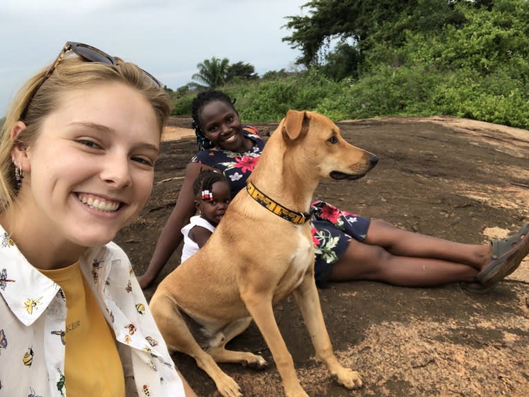 Bear, a Central and East African Village Dog tested with EmbarkVet.com