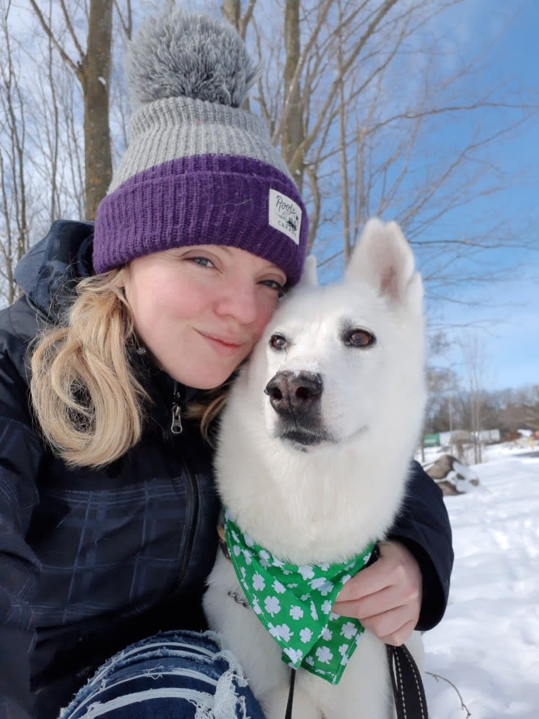 Charlie, an Alaskan-type Husky tested with EmbarkVet.com