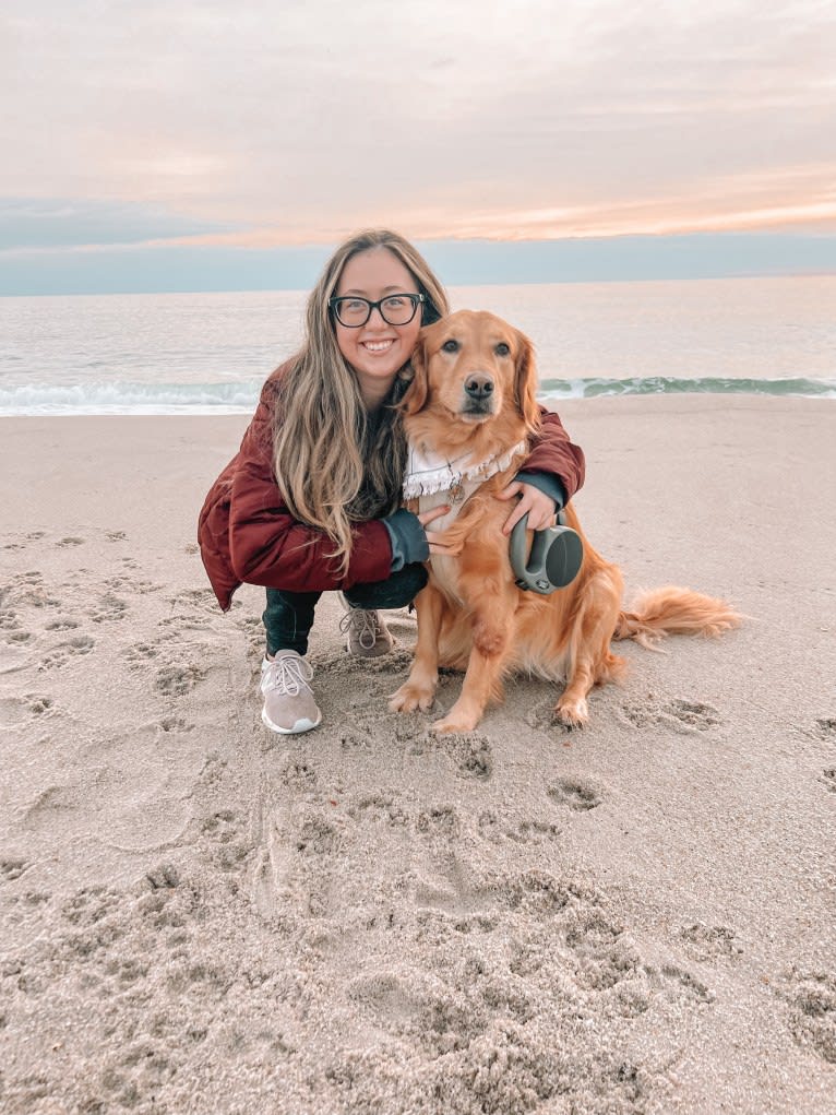 Marley, a Golden Retriever tested with EmbarkVet.com