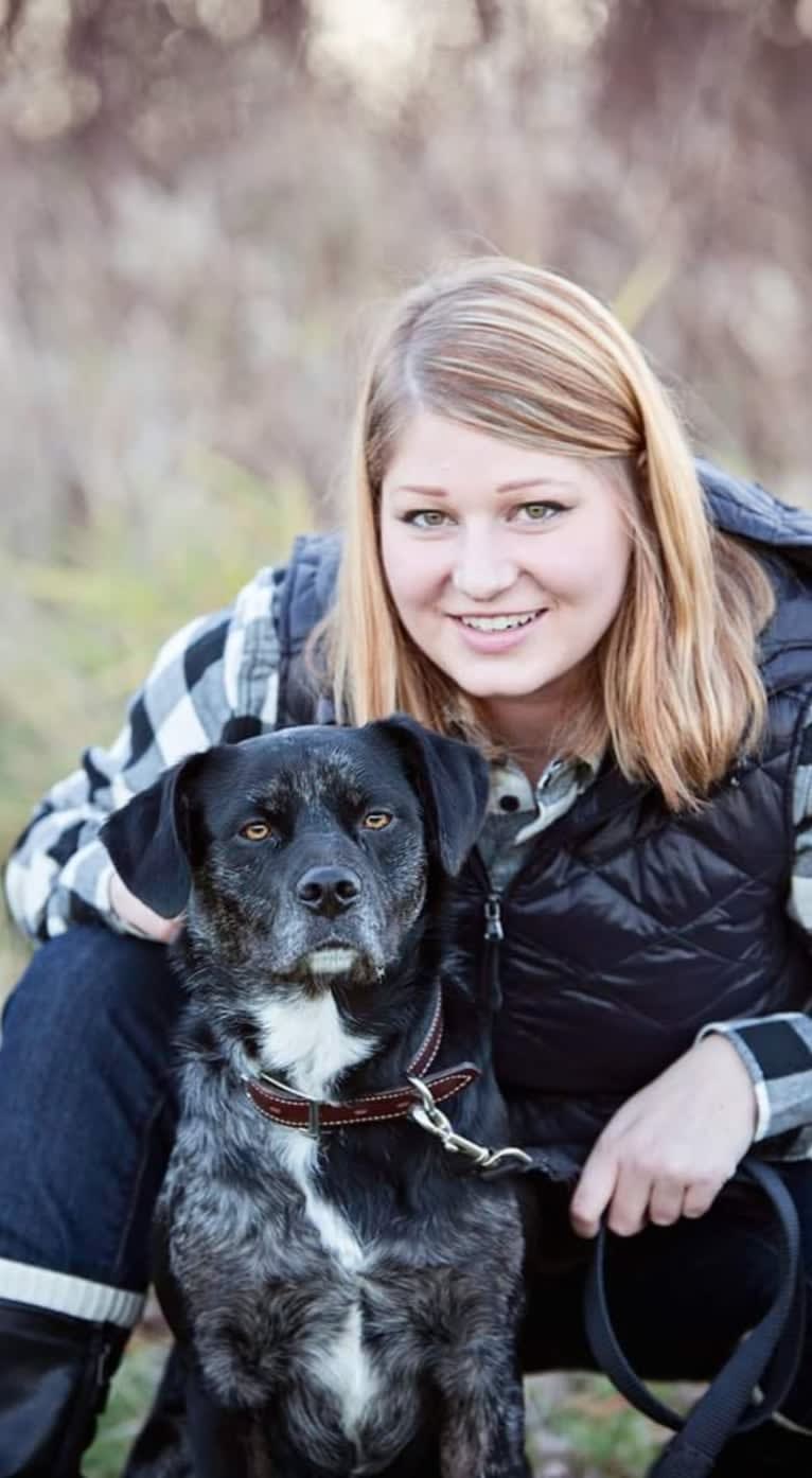 Gerdy, a Rottweiler and Australian Shepherd mix tested with EmbarkVet.com