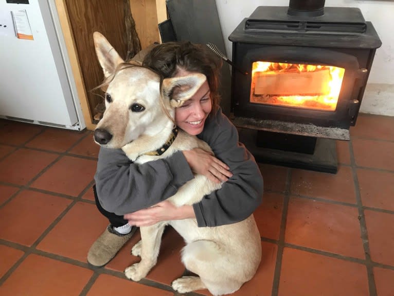 Pearl, an Australian Cattle Dog and Labrador Retriever mix tested with EmbarkVet.com