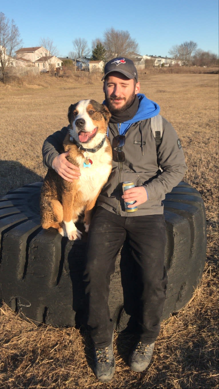 Dexter, a Bernese Mountain Dog and German Shepherd Dog mix tested with EmbarkVet.com