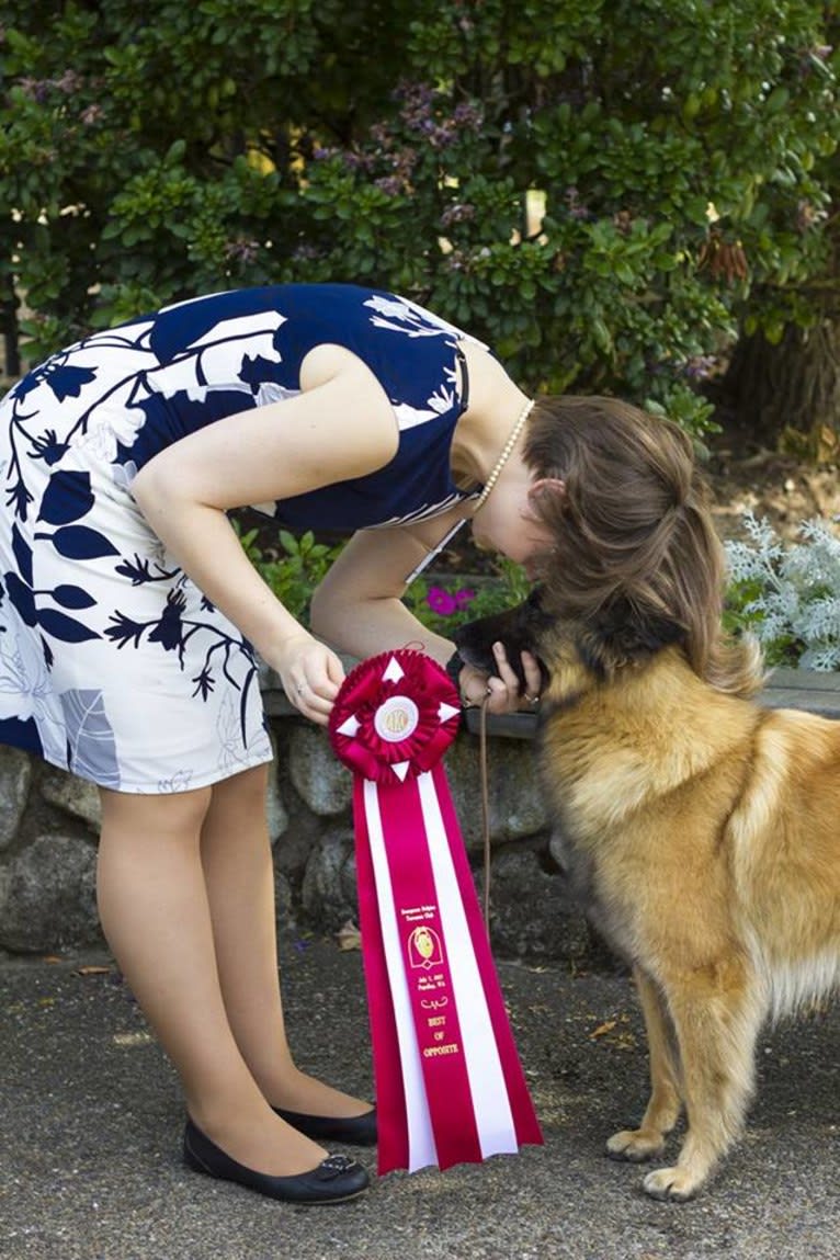 Tuarie, a Belgian Shepherd tested with EmbarkVet.com