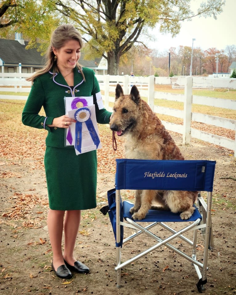 Flaxfield's Lipstick On Your Collar, a Belgian Shepherd tested with EmbarkVet.com
