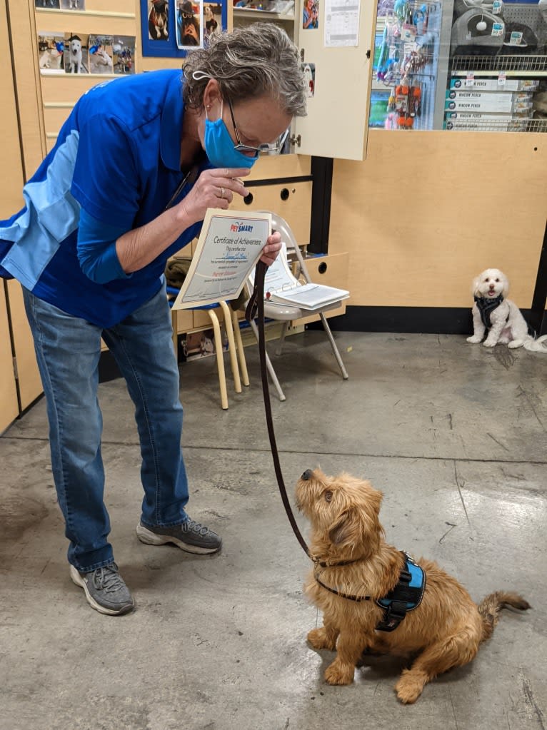 Simon LeBone, a Rottweiler and Shih Tzu mix tested with EmbarkVet.com