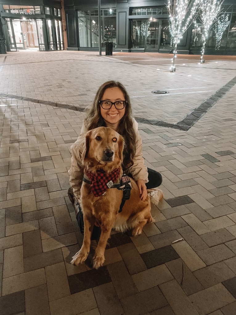 Marley, a Golden Retriever tested with EmbarkVet.com