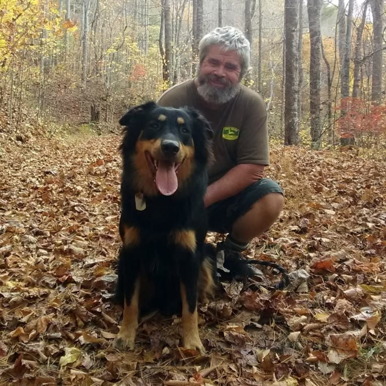 Zuess, an English Shepherd tested with EmbarkVet.com