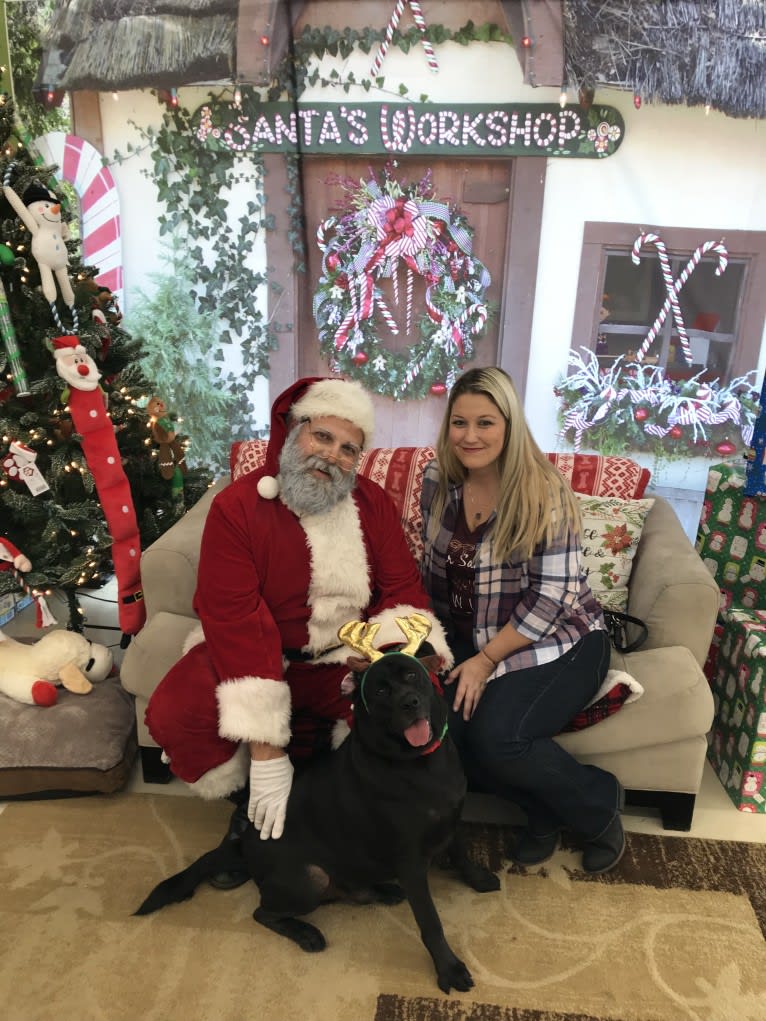 Ben, a Bulldog and Neapolitan Mastiff mix tested with EmbarkVet.com