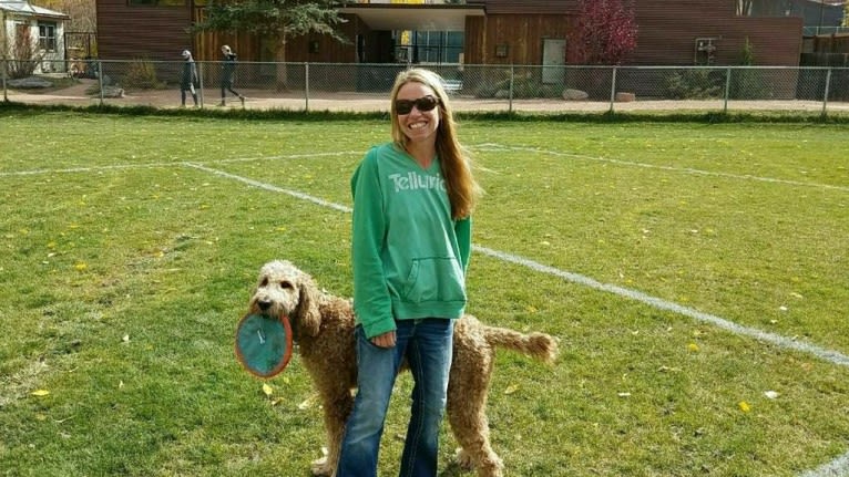 Ozzie, a Poodle (Standard) and Irish Setter mix tested with EmbarkVet.com
