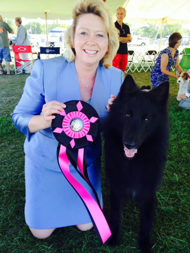 Jackson, a Belgian Shepherd tested with EmbarkVet.com