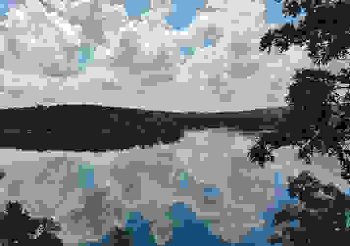 Springtime On Lake Coronado