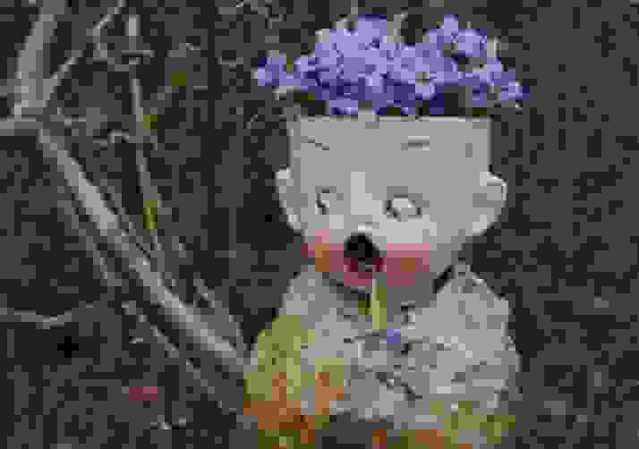 Little Boy Bluet