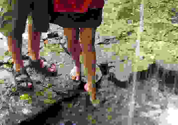 Testing the Waters