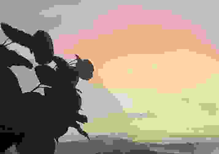 The Determined Sun