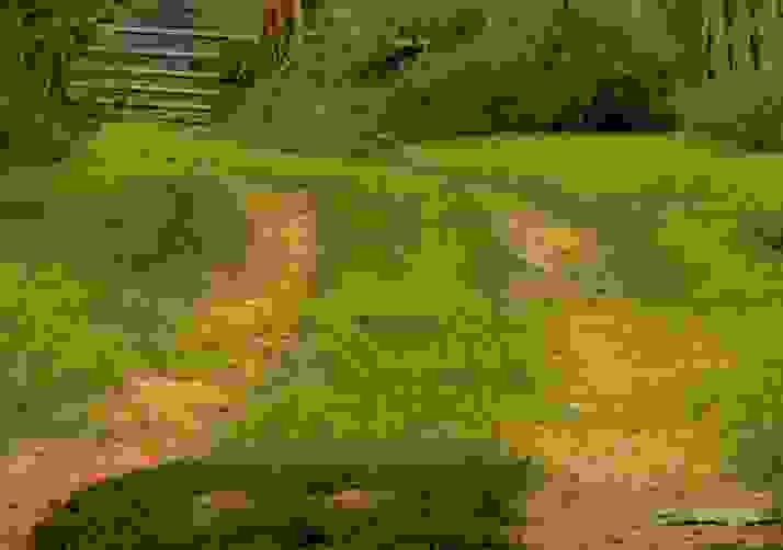 Country Roads