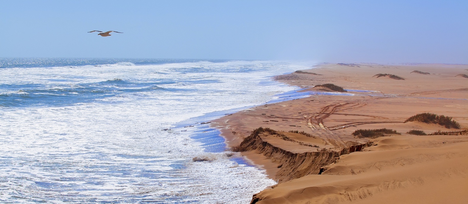namibia africa beach namibia africa beach