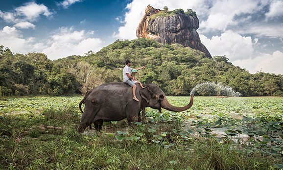 Mann reitet mit Kind auf einem wasserspeienden Elefant durch ein Feuchtgebiet in Sri Lanka
