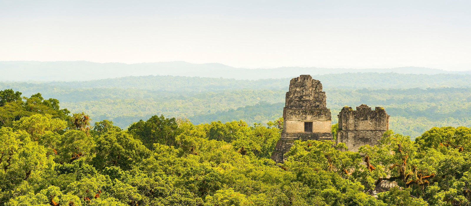 Tikal National Park | UNESCO World Heritage site | Plan Your Trip