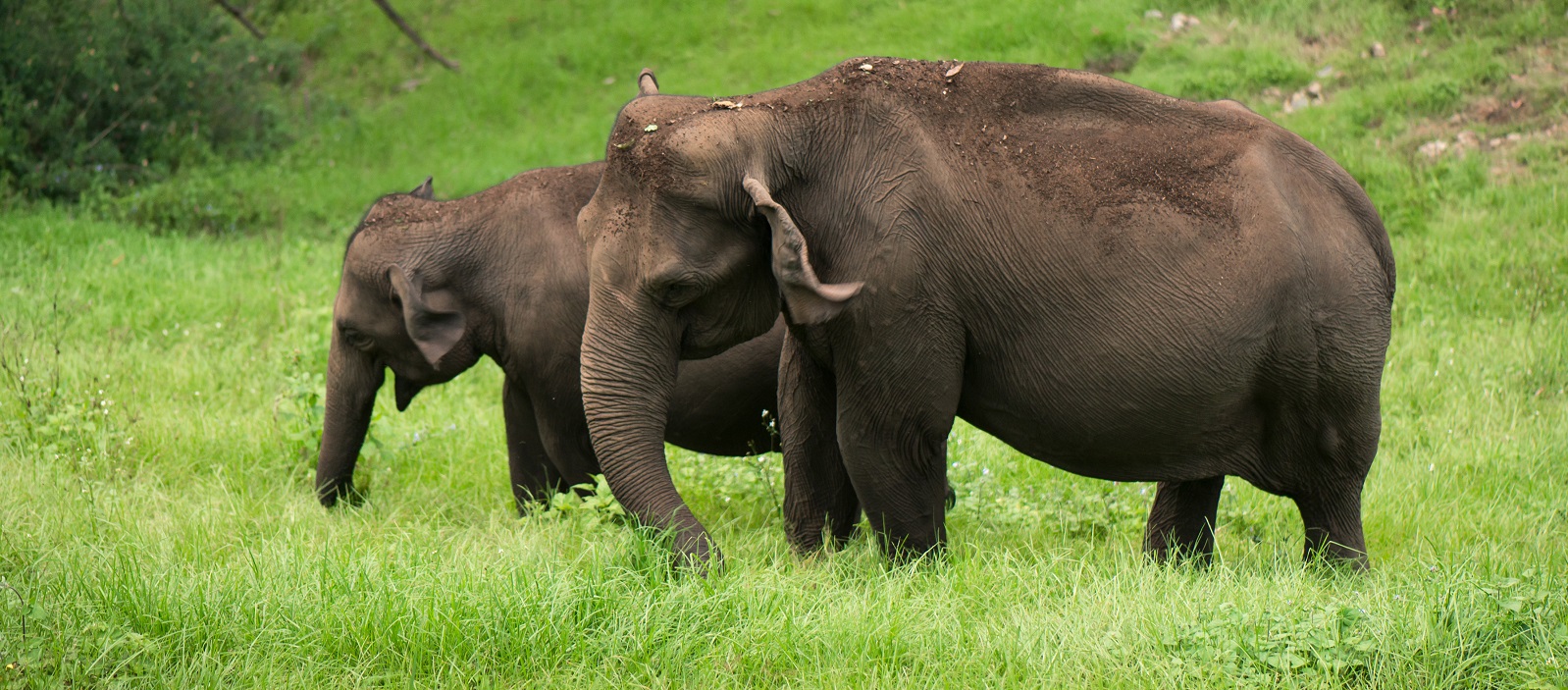 Enchanting Travels South India Vacation Backwaters in Kerala Tour (9)