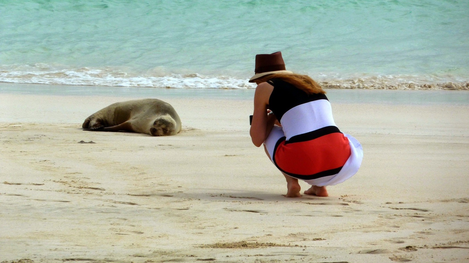 Galapagos Inseln Besuchen 10 Grunde Enchanting Travels