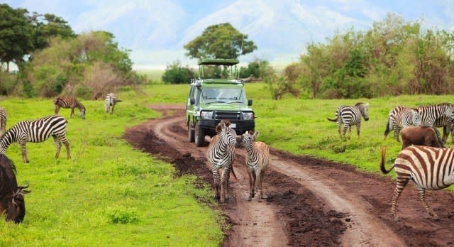 Touristen auf Pirschfahrt beobachten Zebras bei der Tierwanderung