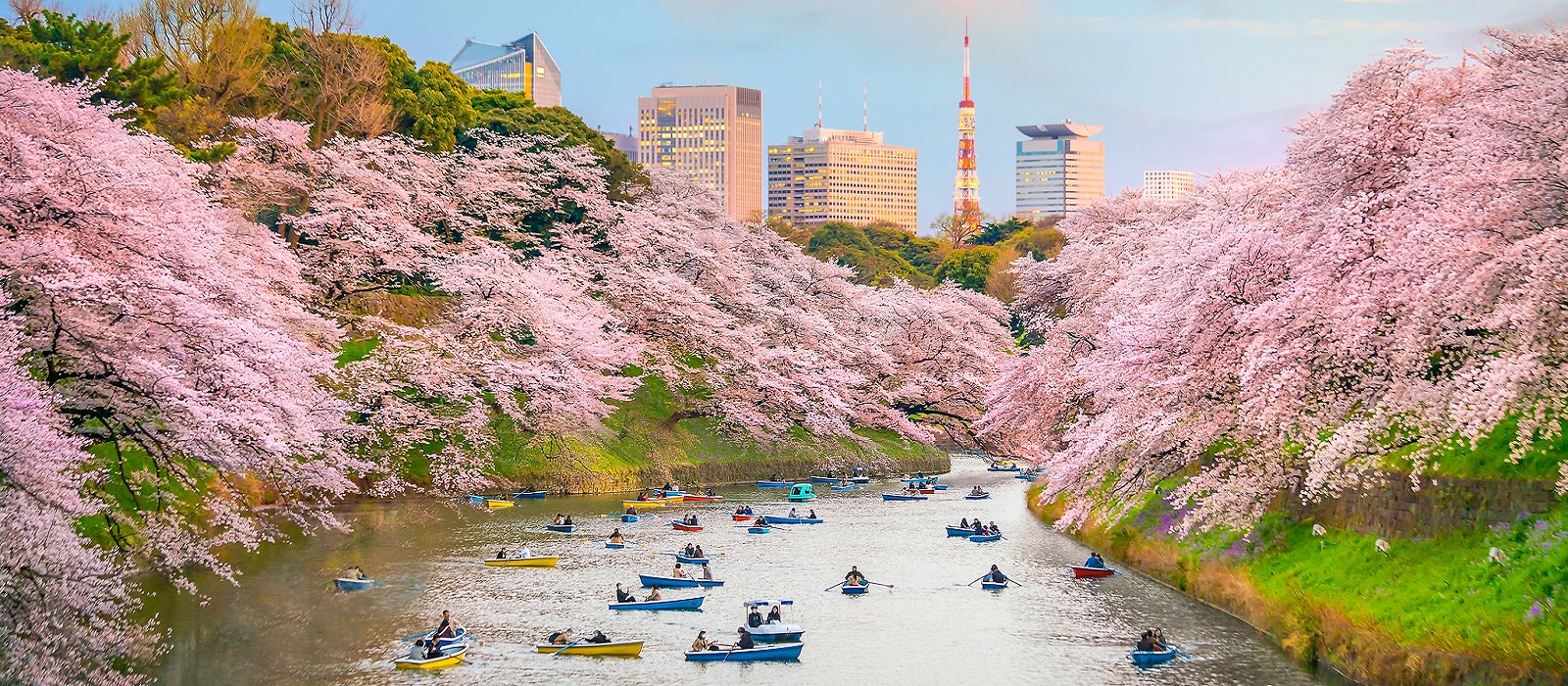 Japan Schatze Des Nordens Schonheit Der Natur