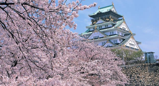 Osaka Castle im Frühling