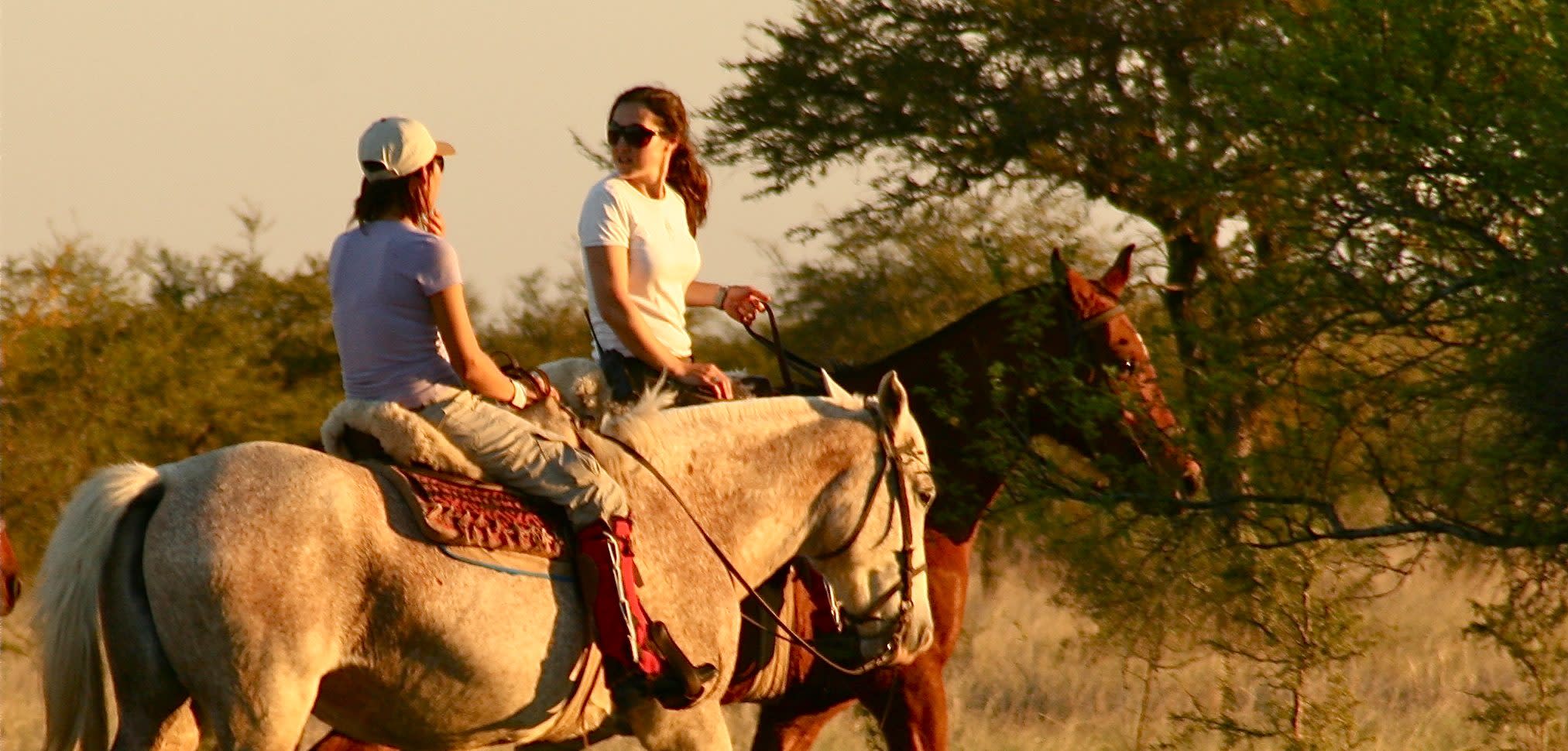 Tailor-made Argentina Wildlife Tour | Enchanting Travels