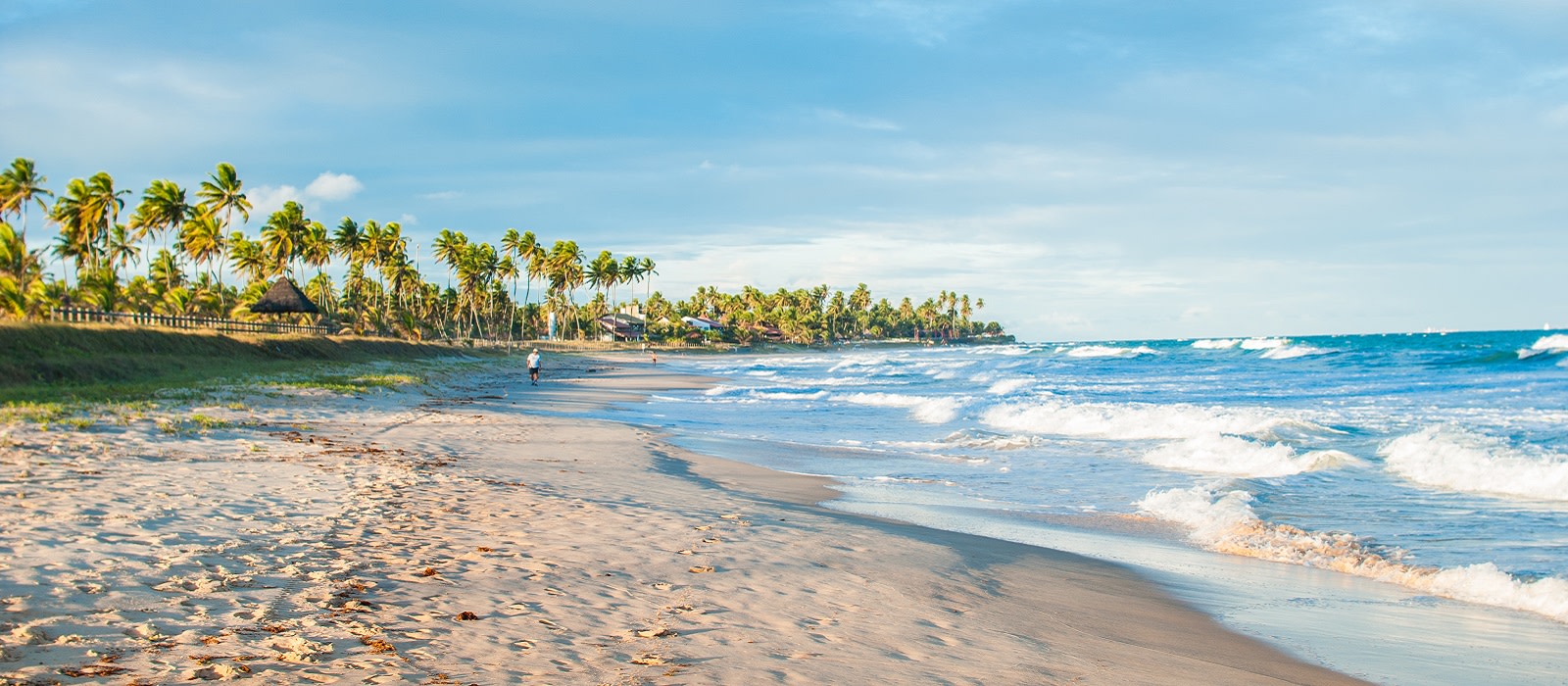 Porto De Galinhas Trip Brazil Trip Enchanting Travels