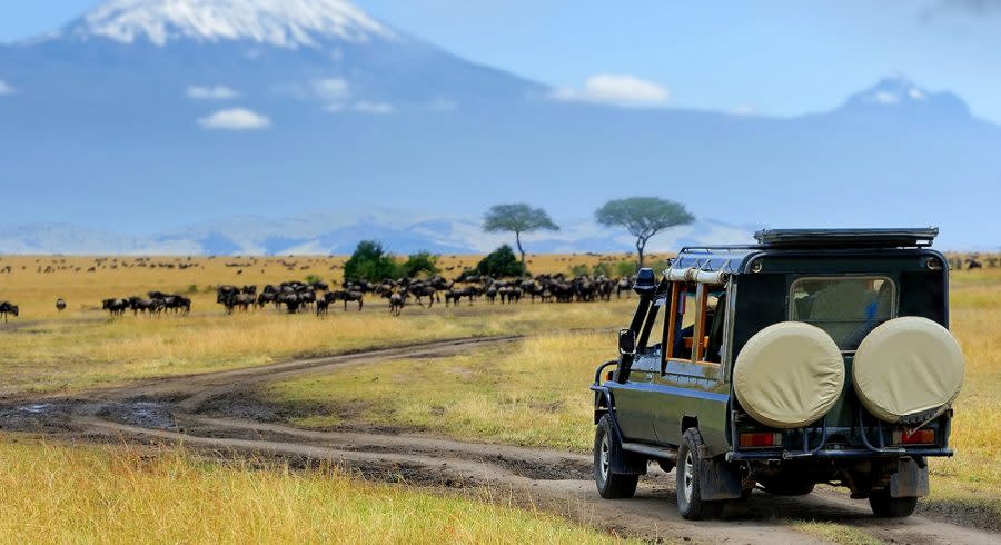 Safari Fahrtin Tansania