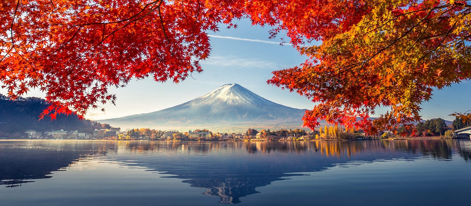 Japan for Beginners: Tokyo, Kyoto and Mount Fuji | Tours & Trips with