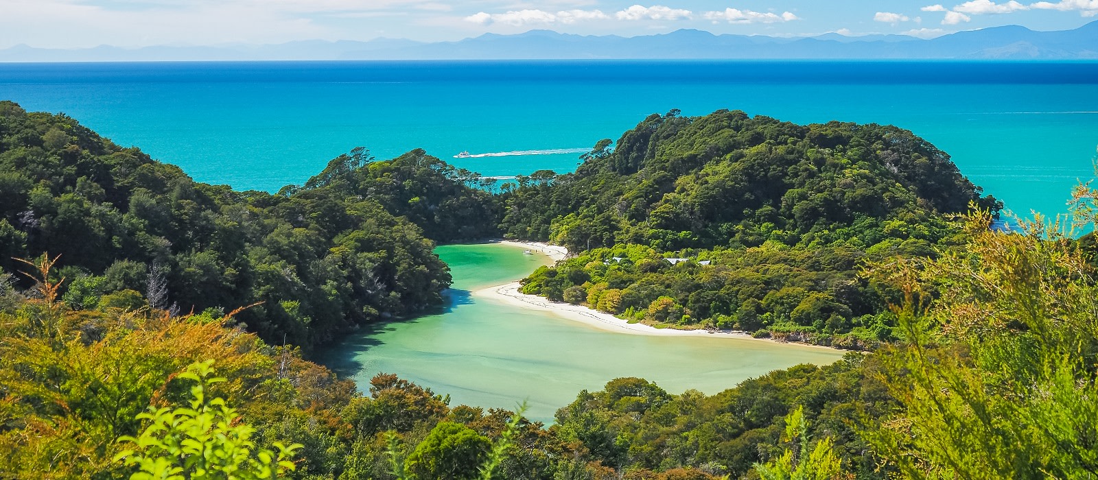 Abel Tasman National Park Tours | Enchanting Travels