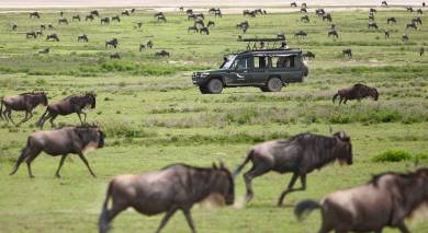 Example private tour: Tanzania and Kenya Highlights Example private tour: Tanzania and Kenya Highlights