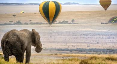 Example private tour: Classic Kenya: Samburu, Masai Mara and Beach Break Example private tour: Classic Kenya: Samburu, Masai Mara and Beach Break