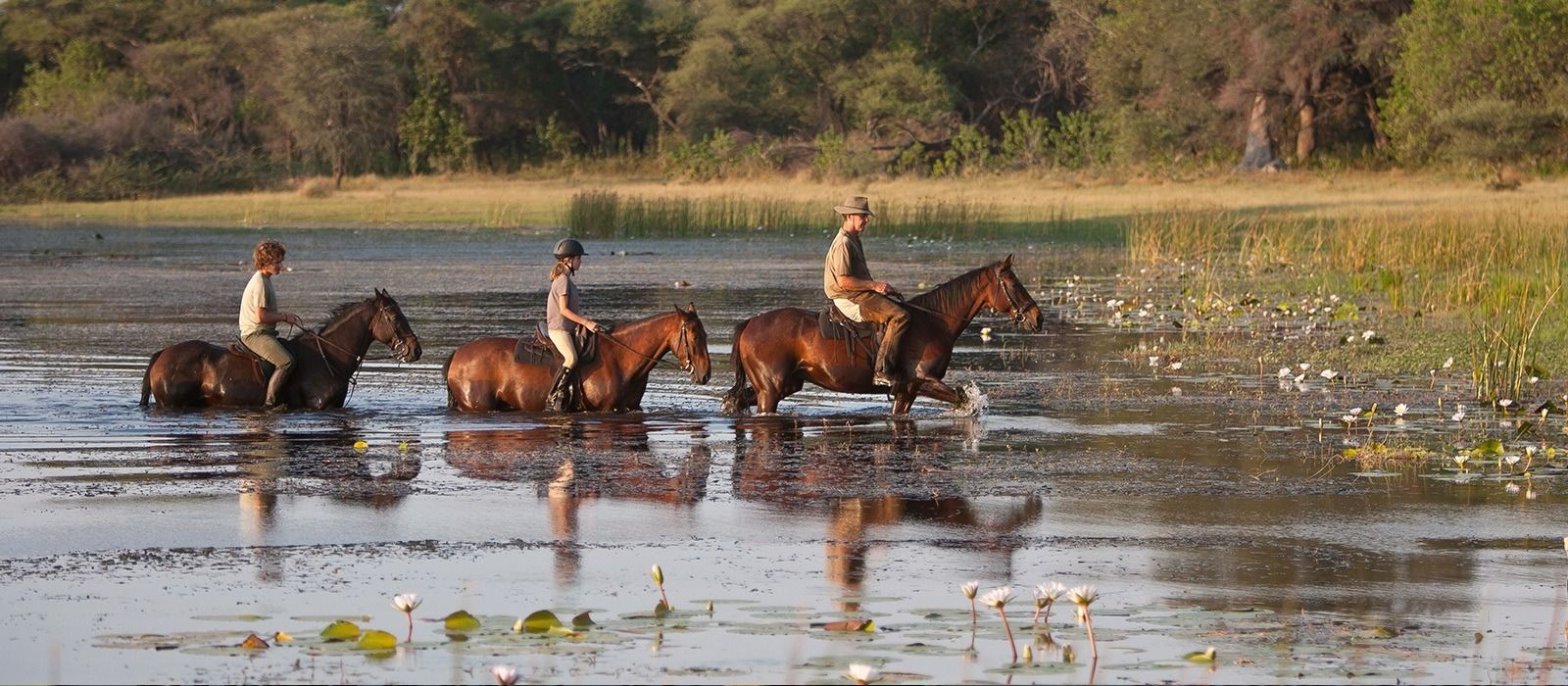 botswana safari maun