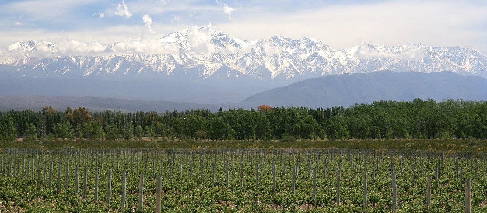 Exclusive Travel Tips for Your Destination Mendoza in Argentina