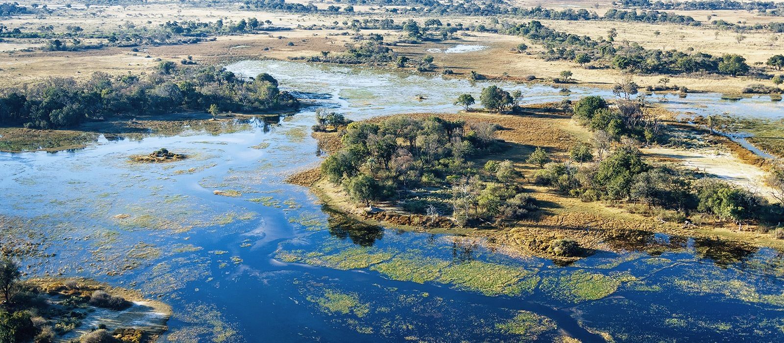 Cape Town Okavango Delta Victoria Falls Tours Trips With ENCHANTING TRAVELS