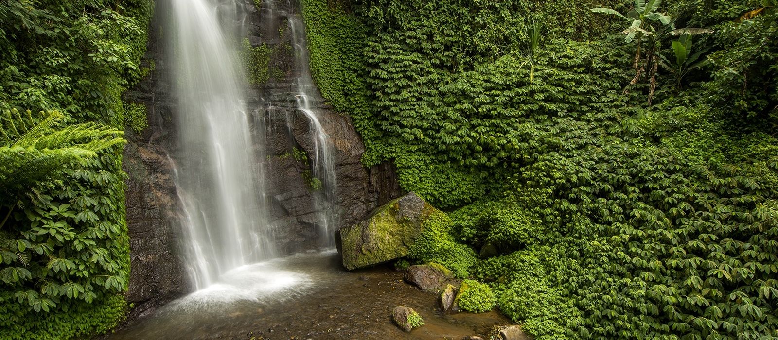 Exclusive Travel Tips for Your Destination Munduk in Indonesia