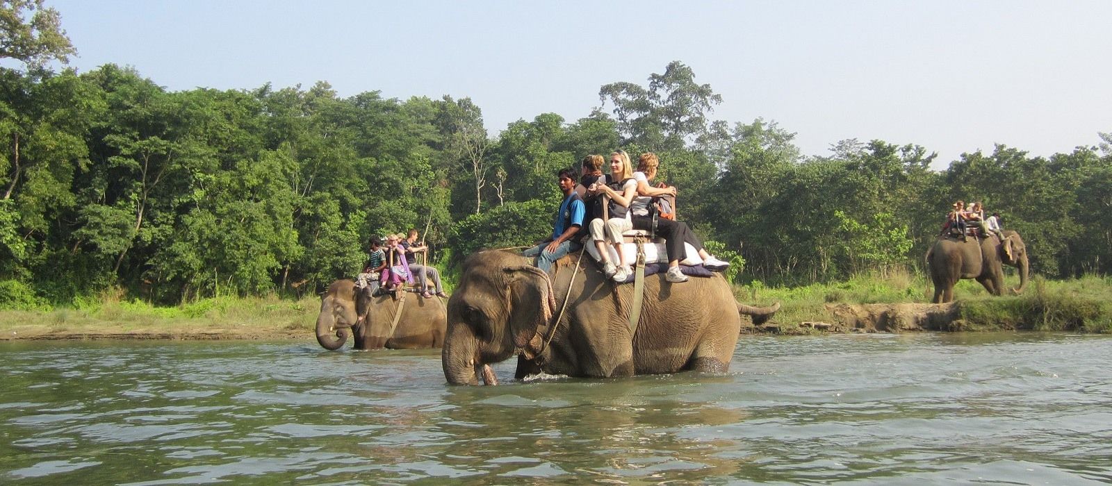 Exclusive Travel Tips for Your Destination Chitwan in Nepal