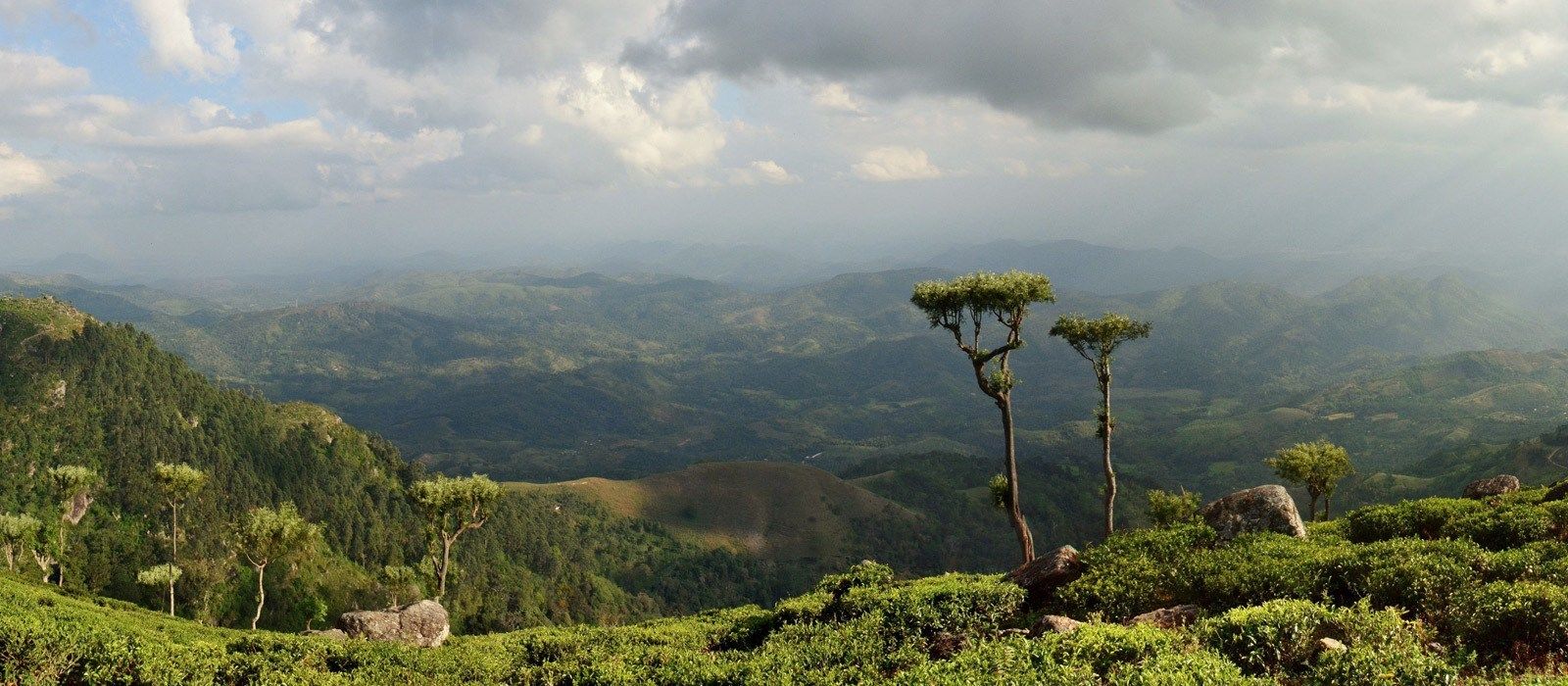 Exclusive Travel Tips For Nuwara Eliya In Sri Lanka