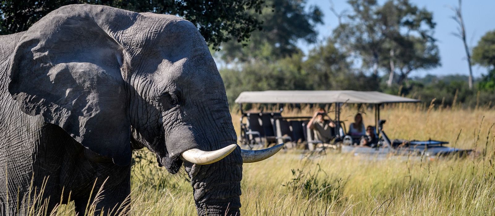 machaba safaris botswana