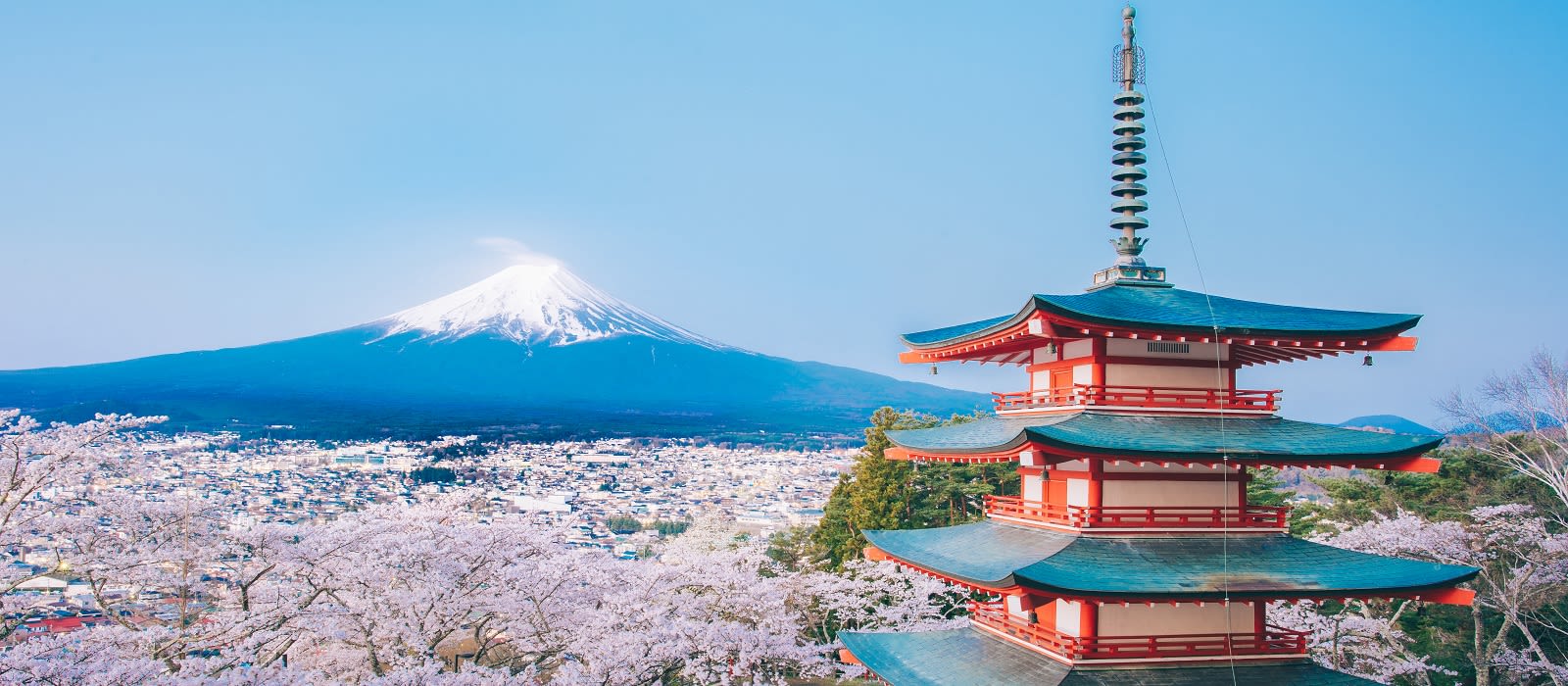 Japan's Hidden Treasures | Tours & Trips with ENCHANTING TRAVELS