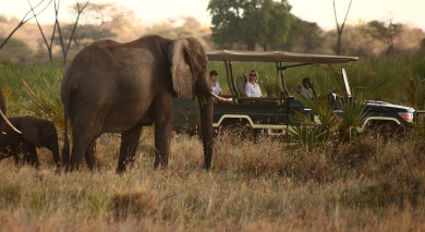 Reiseziel Viktoriasee In Kenia Enchanting Travels