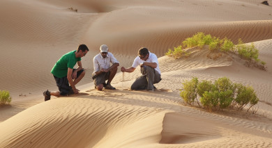Empfohlene Individualreise, Rundreise: Oman & VAE – Roadtrip auf der Arabischen Halbinsel Empfohlene Individualreise, Rundreise: Oman & VAE – Roadtrip auf der Arabischen Halbinsel